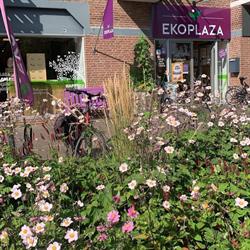 Ekoplaza Winterswijk - biologische supermarkt, openingstijden