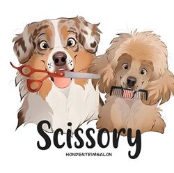 Scissory, Soest openingstijden