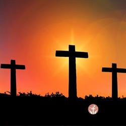 Iglesia di Cristo, Zwijndrecht openingstijden