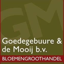 Goedegebuure & de Mooij b.v. Tilburg, openingstijden