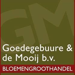Goedegebuure & de Mooij b.v. Tilburg, openingstijden