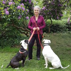 Chantal's Dog Company, Rijswijk openingstijden