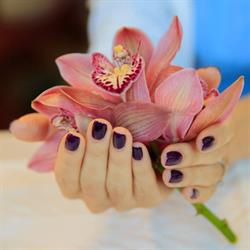 Tracy Nails Studio, Almere openingstijden