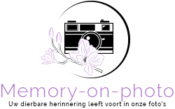 Memory on photo, Zegge openingstijden