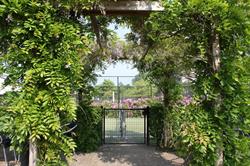 Tennispark Buitenveldert - Tennisschool - BV, Amsterdam openingstijden