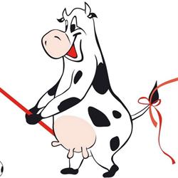Jeu de Boer, Hazerswoude-Dorp openingstijden