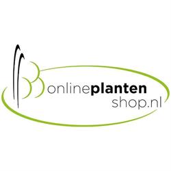 Onlineplantenshop.nl, Ochten openingstijden
