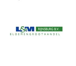 L & M Rijnsburg BV, openingstijden