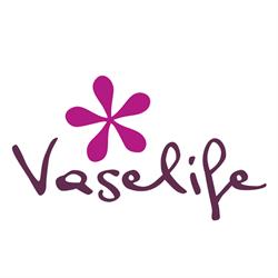 Vaselife International B.V., Amstelveen openingstijden