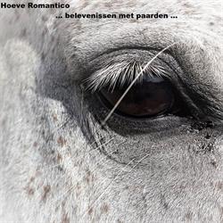Hoeve Romantico, Maarsbergen openingstijden