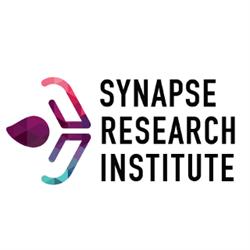 Synapse B.V., Maastricht openingstijden