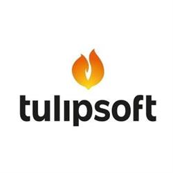 Tulipsoft B.V., Heemskerk openingstijden