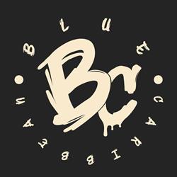 Blue Caribbean B.V., Rotterdam openingstijden
