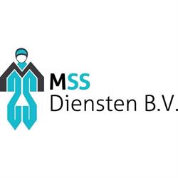 M.S.S. Diensten B.V., Schiedam openingstijden