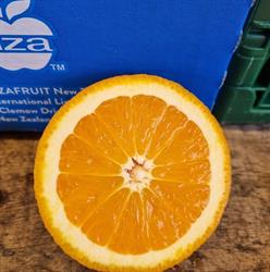 Verkuijlen van de Ven Groente en Fruit, Schijndel openingstijden
