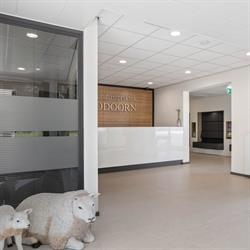 Tandartspraktijk Odoorn, openingstijden