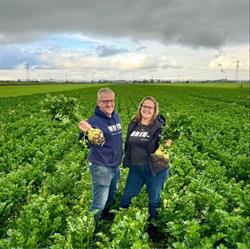 Vaalburg VOF, Zuidschermer openingstijden