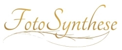 FotoSynthese, Leiden openingstijden