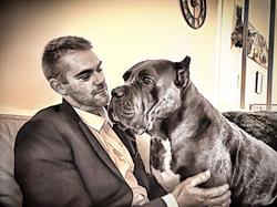 Cane corso kennel Tutto e possibile, Sint Jansteen openingstijden