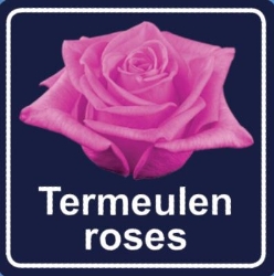 termeulen roses, Almere openingstijden