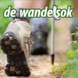 de Wandelsok, Sliedrecht openingstijden