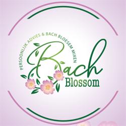 Bach Blossom, Hallum openingstijden