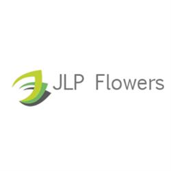 JLP Flowers, Angeren openingstijden