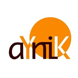 aYniK Software Solutions B.V., Hengelo openingstijden