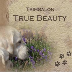 Trimsalon True Beauty, Nieuw-Vennep openingstijden