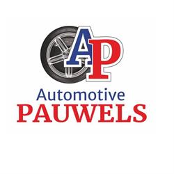 AutoFirst - Automotive Pauwels, Wijchen openingstijden