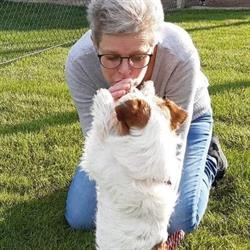 Hondenpension Sennyards, Haarsteeg openingstijden