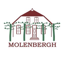 Molenbergh, Ruinerwold openingstijden
