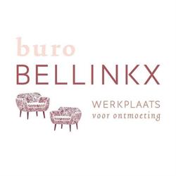 Buro Bellinkx, Haarlem openingstijden