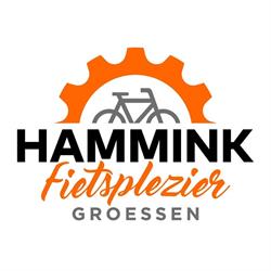Hammink Fietsplezier, Groessen openingstijden