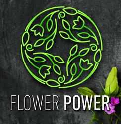 Flower Power Bloemist Wormerveer, openingstijden
