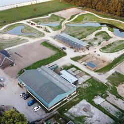 Paddock Paradise Almere, openingstijden