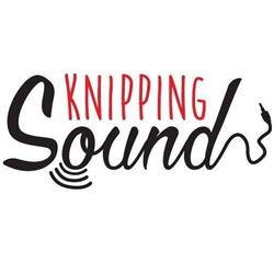 Knipping Sound, Delft openingstijden