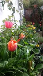 Bed&Breakfast het kleine Binnenhof, 's-Gravenhage openingstijden