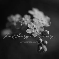 In Loving Memory, Vlaardingen openingstijden