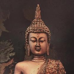 Lotus Thai Therapie, Huizen openingstijden