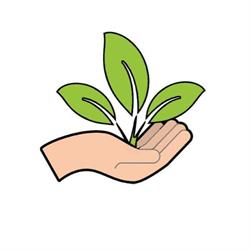 Betty's Greenhouse, Sappemeer openingstijden