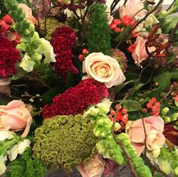 Flor'as Fleurs et Plantes, Kamperland openingstijden