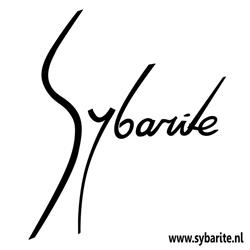 Sybarite Art / Sybarite Photography, Arnhem openingstijden