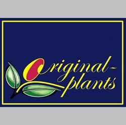 Original-plants BV, Waddinxveen openingstijden