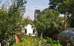 Bed & Breakfast - Het witte huisje Oldehove, openingstijden