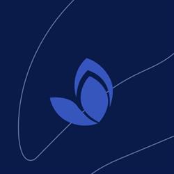 Absolum, Amsterdam openingstijden