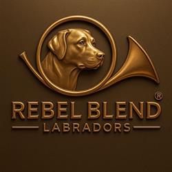 Rebel Blend Labradors, Maasdam openingstijden