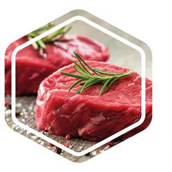 Foodrijk B.V., Nijmegen openingstijden