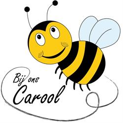 Kinderopvang 'Bij ons Carool', Elshout openingstijden