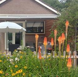 B&B Appartementje Bij De Zee, Rockanje openingstijden